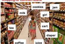 common nouns everywhere