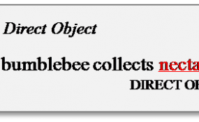 common noun direct object
