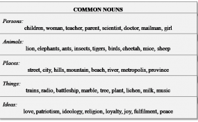 common noun examples