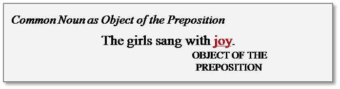 what-is-a-common-noun-object-preposition-schools-question-timeschools-question-time