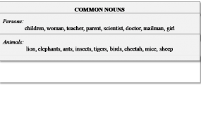 common nouns examples